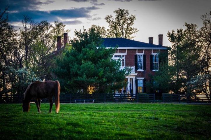 Maple Hill Manor Bed & Breakfast Springfield Exterior foto